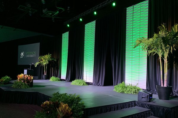 Stage with 3D Wall Panels, Black Drape & Plant Package