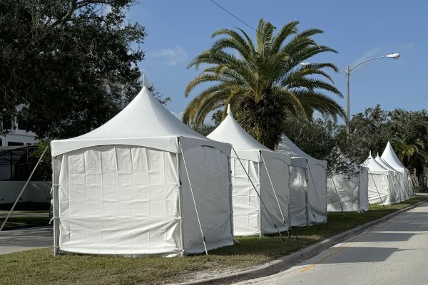 10' x 10' Festival Tents