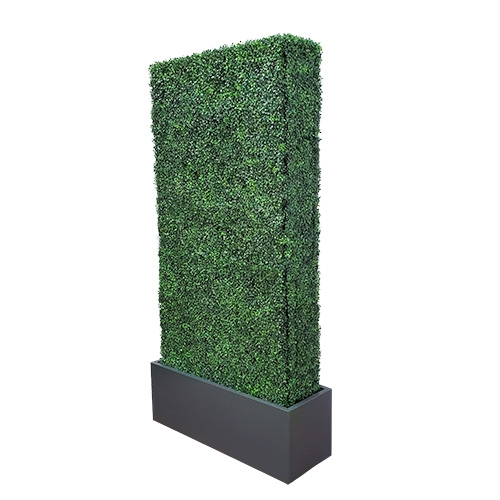 Hedge Wall 8'