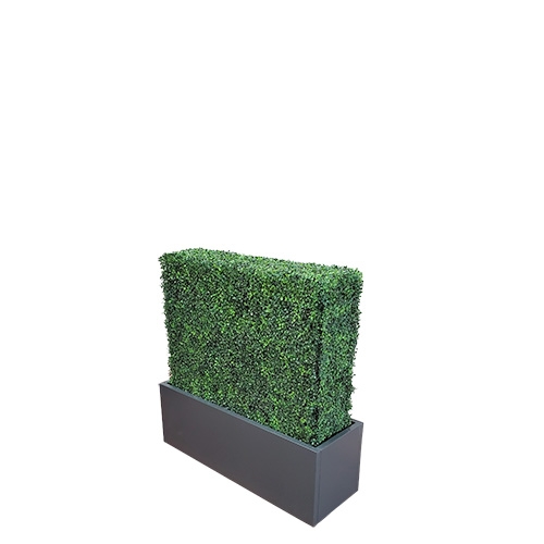 Hedge Wall 52"